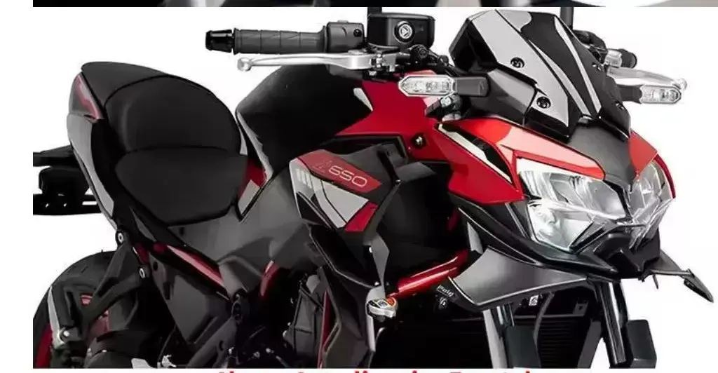 Kawasaki Z650 Spoıler Karbon Winglet