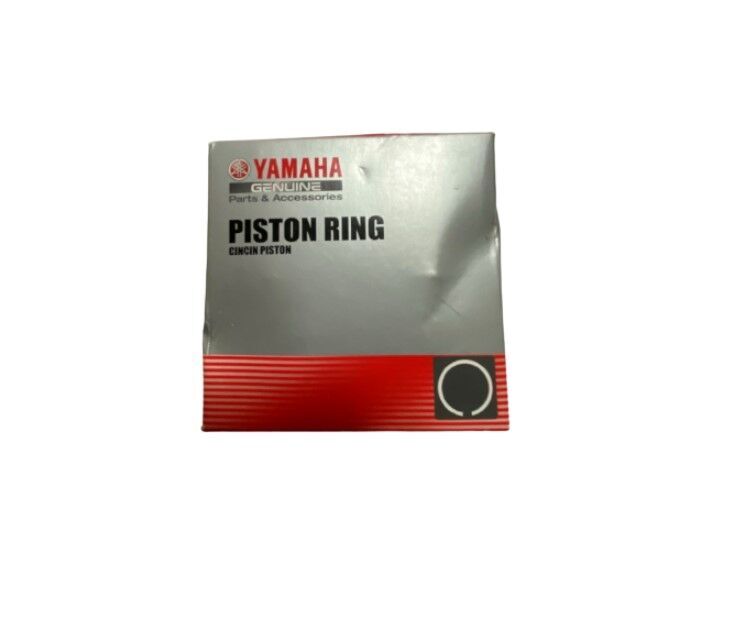 Orijinal R25 Mt-25 2015-21 Segman