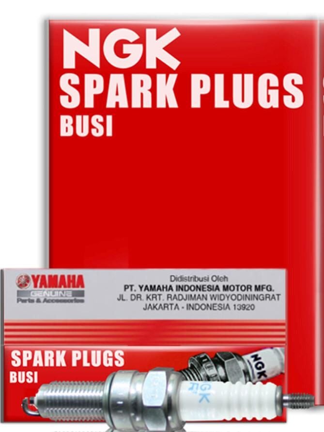 Yamaha Fazer 600-Fz6 Orijinal Ngk Buji Seti CR9EK