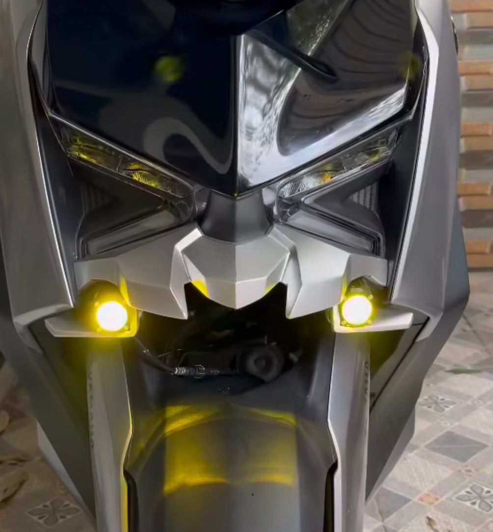 Xmax 250-300 2024-26 Custom Sis Seti