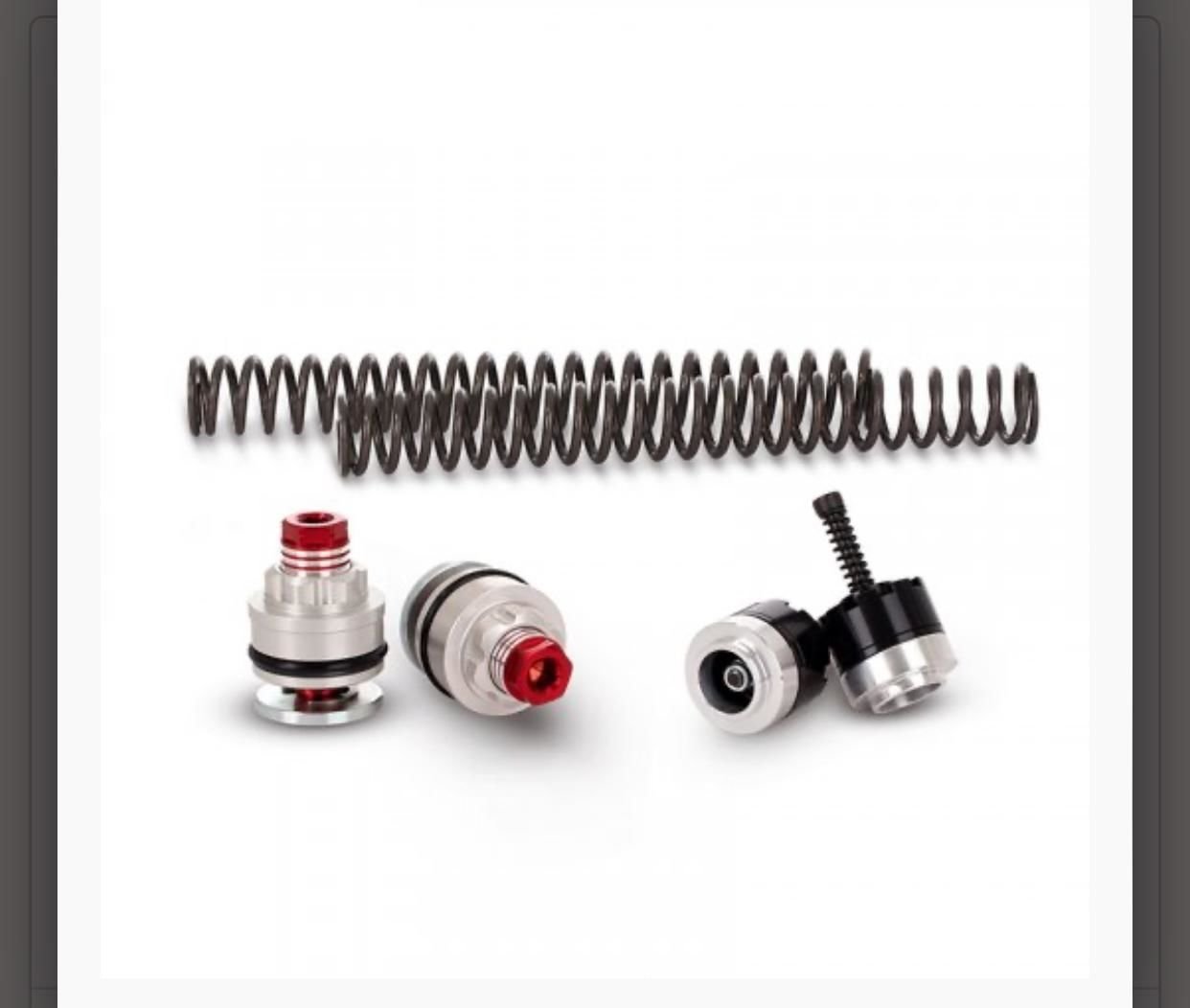 Forza 250 2018\23 Ön Amortisör İç Yay Seti