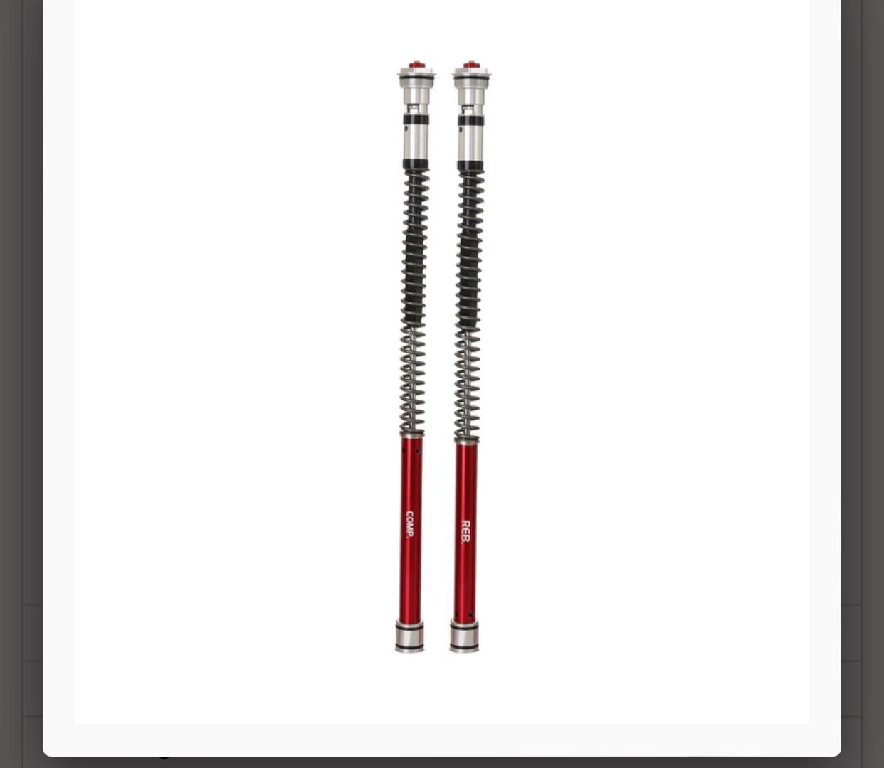 Yzf R25 2019-24 Perfonmans Ön Amortisör İç Yay Seti