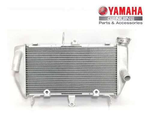Yamaha Mt-25 Orijinal Radyatör B04E246100