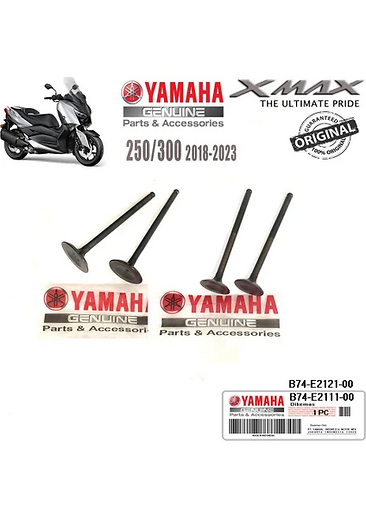 Xmax 250-300 2018-24 Orijinal Emme Egzoz Subap Keçe Takımı