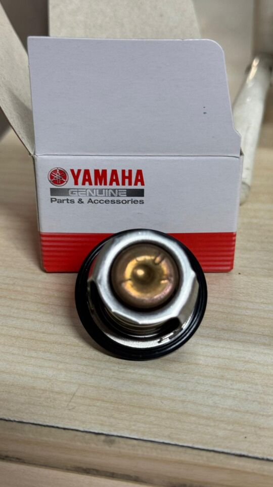 Xmax 250 2006-17 Orijinal Termostat 4HC124110100