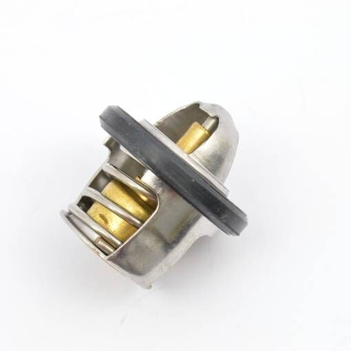 Xmax 250 2006-17 Orijinal Termostat 4HC124110100