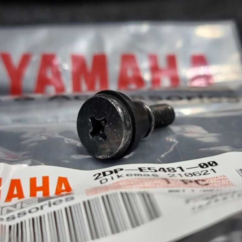 Nmax Orijinal Varyatör Kapak Vidası 2DPE548100