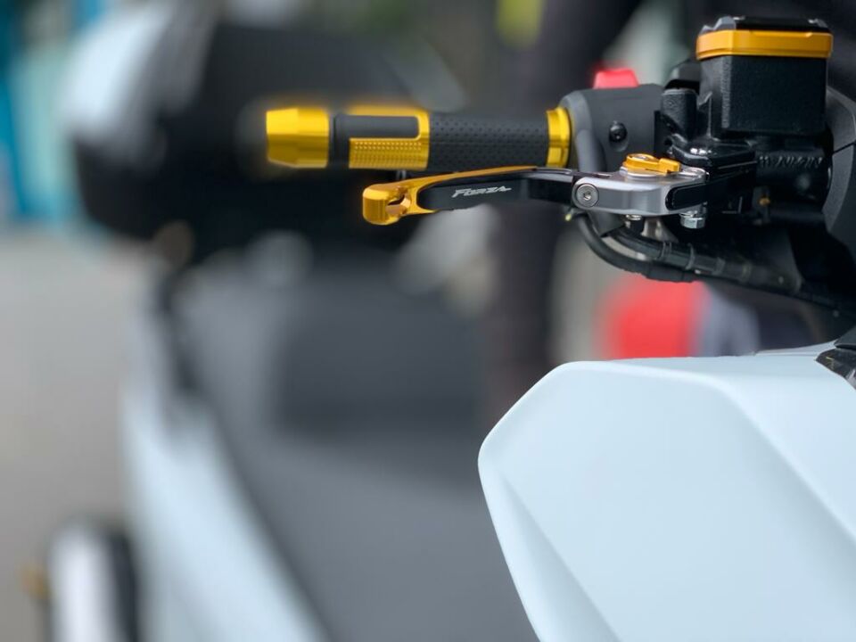 Honda Forza 250 Kısa Manet Seti